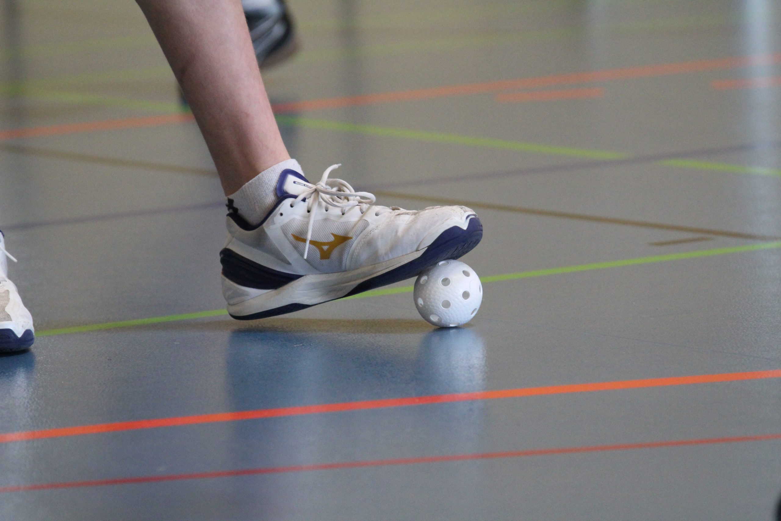 Saison 2025/2026 – Was erwartet uns?